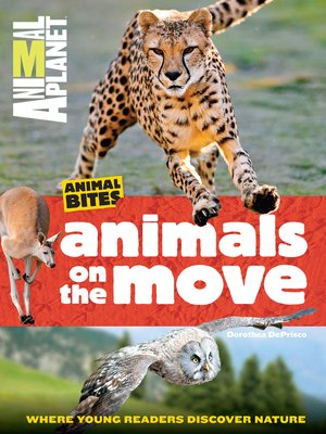cover image of Animals on the Move